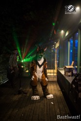 CGC2 0431 von Bastlwastl