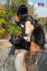 MSW5 031 von Razurac