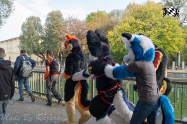 MSW5 035 von Razurac