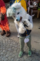 MSW5 046 von Razurac