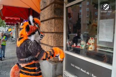 MSW5 047 von Razurac