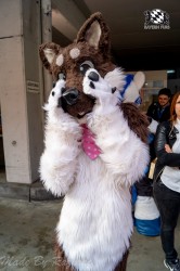 MSW5 051 von Razurac