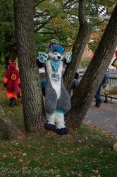 MSW5 073 von Razurac