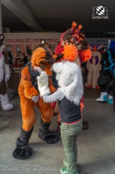 MSW5 075 von Razurac