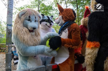 MSW5 100 von Razurac