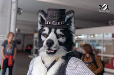 MSW5 127 von RyuxWolf