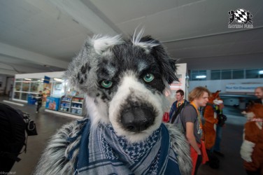 MSW5 129 von RyuxWolf