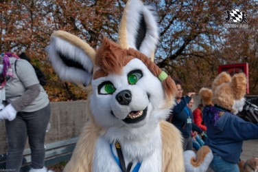 MSW5 151 von RyuxWolf