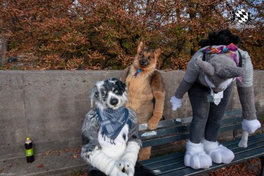 MSW5 153 von RyuxWolf