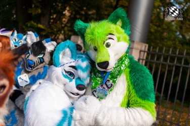 MSW5 176 von RyuxWolf