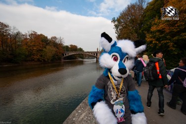 MSW5 193 von RyuxWolf