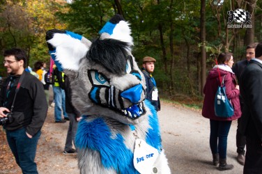 MSW5 212 von RyuxWolf