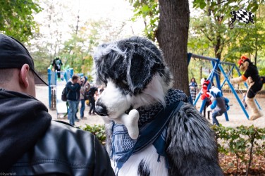 MSW5 213 von RyuxWolf