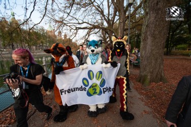 MSW5 230 von RyuxWolf