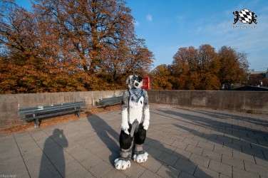 MSW5 238 von RyuxWolf