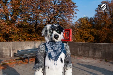 MSW5 239 von RyuxWolf