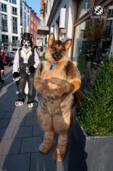 MSW5 247 von RyuxWolf