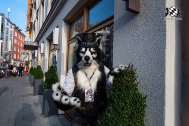 MSW5 250 von RyuxWolf