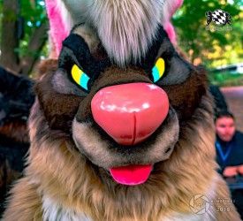 MSW5 255 von Nefires