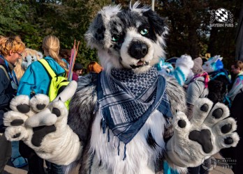 MSW5 271 von Nefires