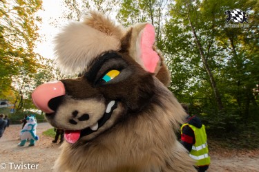 MSW5 297 von Twister