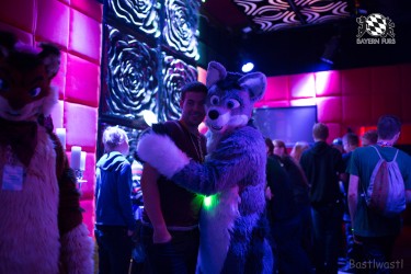 BFD8 0021 von Bastlwastl