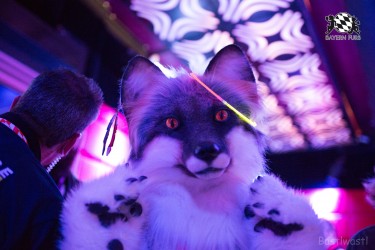 BFD8 0024 von Bastlwastl