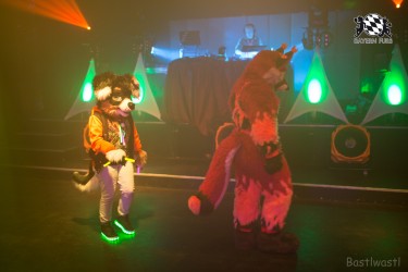 BFD8 0048 von Bastlwastl