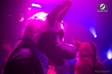 BFD8 0063 von Bastlwastl