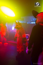 BFD8 0068 von Bastlwastl