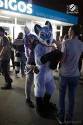 BFD8 0096 von Bastlwastl