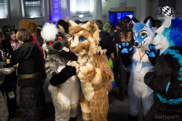 BFD8 0113 von Bastlwastl