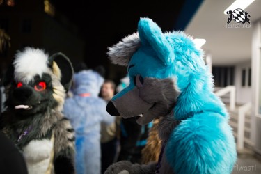 BFD8 0118 von Bastlwastl