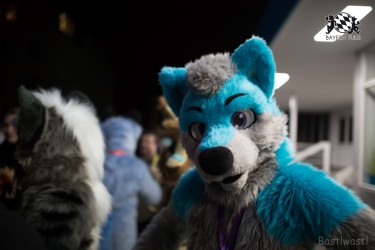 BFD8 0119 von Bastlwastl