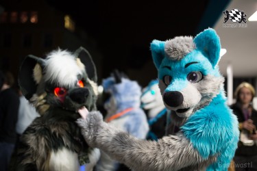 BFD8 0121 von Bastlwastl