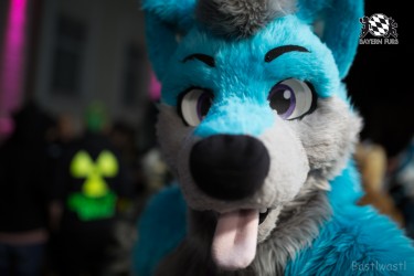 BFD8 0125 von Bastlwastl