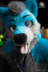 BFD8 0126 von Bastlwastl