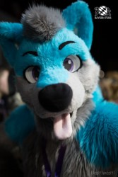 BFD8 0127 von Bastlwastl