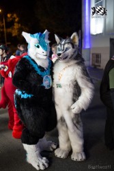 BFD8 0139 von Bastlwastl