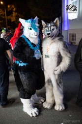 BFD8 0140 von Bastlwastl