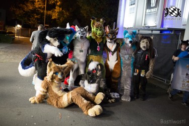 BFD8 0145 von Bastlwastl