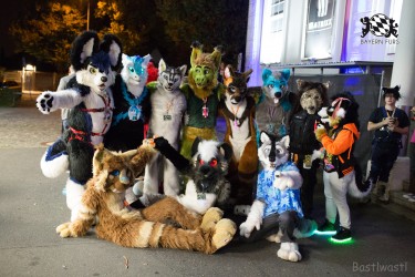 BFD8 0146 von Bastlwastl