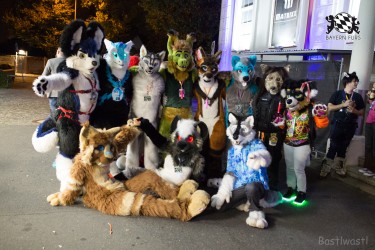 BFD8 0148 von Bastlwastl