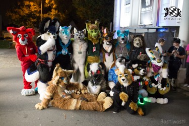 BFD8 0158 von Bastlwastl