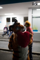 BFD8 0168 von Bastlwastl