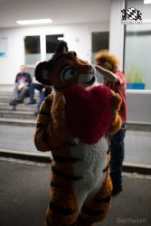 BFD8 0169 von Bastlwastl