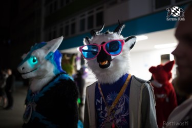 BFD8 0173 von Bastlwastl