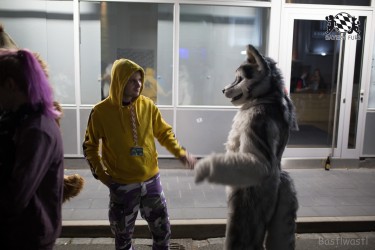 BFD8 0176 von Bastlwastl