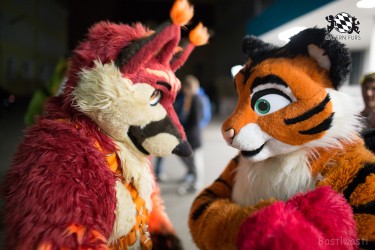 BFD8 0178 von Bastlwastl