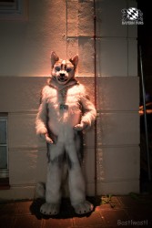 BFD8 0182 von Bastlwastl